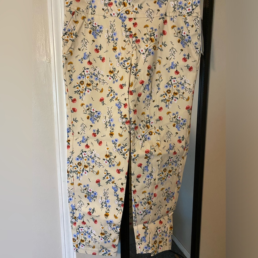NWT Soho Ankle Pants